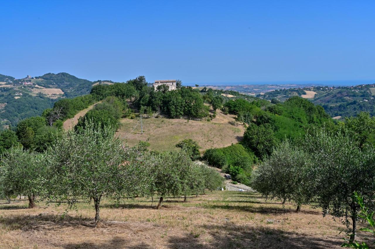 Casale Romani Country Residence Cerreto Castello Kültér fotó